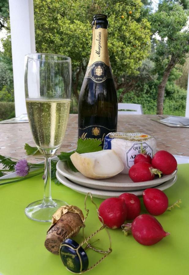 Quinta Villa Arrabida Vila Fresca ภายนอก รูปภาพ